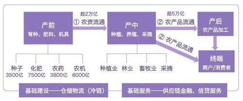 京东这家互联网公司,想要怎样去改变农业